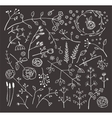 Field Flowers and Plants Decoration Collection on Field Flowers and Plants Decoration Collection on vector image