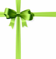 Gift bow vector image