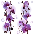 Orchids vector image
