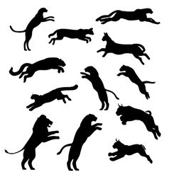 SetOfJumpingCats SetOfJumpingCats vector image