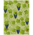 Floral background with vine vector image