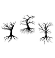 Dead trees with stem and roots vector image