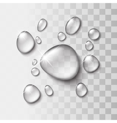 Transparent water drop vector image