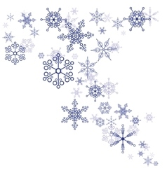 Pattern of snowflakes Pattern of snowflakes vector image
