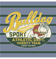 Bulldog football team vector image