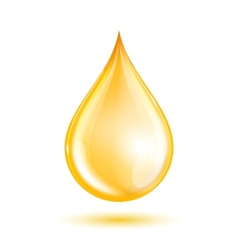 Drop of oil vector image