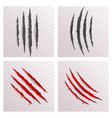 Animal monster claws blood bleeding scratches torn vector image