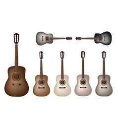 Beautiful Vintage Classical Guitars vector image