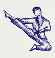 Karate male fighter young vector image