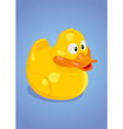 Yellow duck vector image