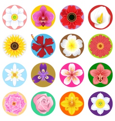 Flower Collection Set vector image
