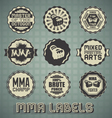 Mixed Martial Arts Labels and Icons vector image