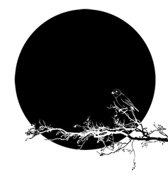 Bird vector image