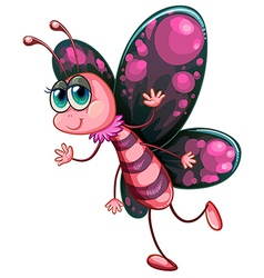 A pink butterfly vector image