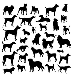 Dogs silhouette vector image
