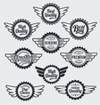 Retro vintage label Badge Set vector image