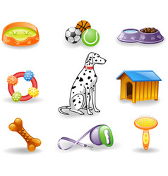 Dog care icons vector image
