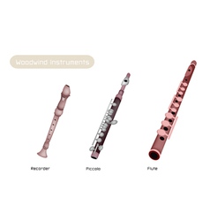 Three Woodwind Instrument vector image