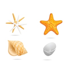 Sea orange sign set vector image