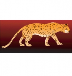 Cheetah vector image