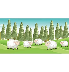 Smiling sheeps vector image