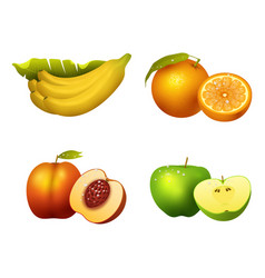 Fresh fruits slice realistic juicy healthy Fresh fruits slice realistic juicy healthy vector image