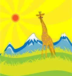 Giraffe vector image
