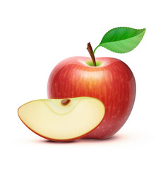 Red apple vector image