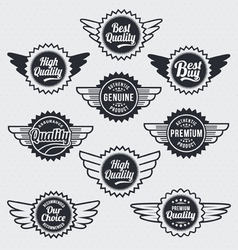 Retro vintage label Badge Set vector image