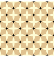 Seamless ornament pattern vector image