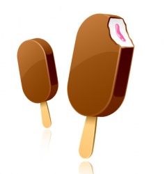 Ice cream on wooden stick vector image