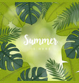 Summer greeting card invitation frame made of vector image