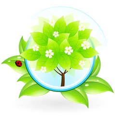Green Tree vector image