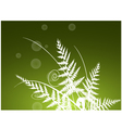 Beauty fern background vector image