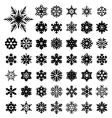 Snowflakes vector image