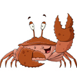 Crab Crab vector image