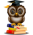 Owl with graduation cap vector image