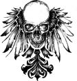 Skull heraldry illustration vector image