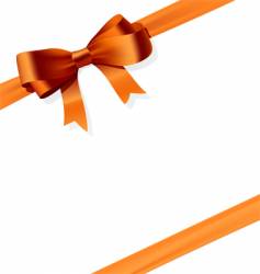 Gift bow vector image