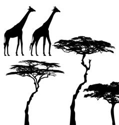 African animals giraffe silhouettes African animals giraffe silhouettes vector image