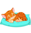 Sleeping kitten vector image