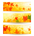 Three autumn banners with colorful leaves in vector image