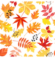 Autumn leaves pattern vector image