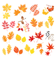 Autumn leaves and berries vector image