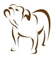 Dog bulldog vector image