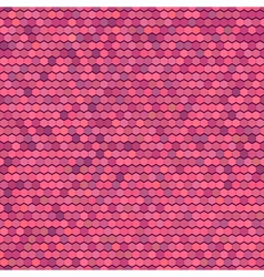 Color Comb Ornament vector image