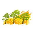 Burning forest trees in fire vector image