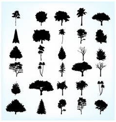 Tree silhouettes vector image