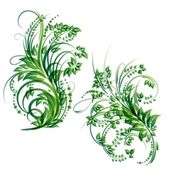 Floral design element vector image