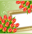Spring background vector image